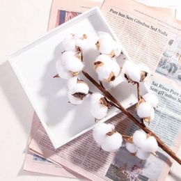 Decorative Flowers Handmade Fake Flower Wedding Decoration Dried Cotton Artificial Plants Stem Floral Branch