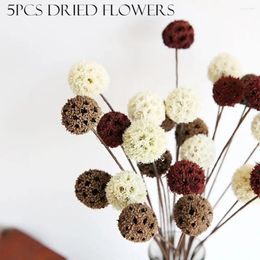 Decorative Flowers 5pcs/lot Rustic Wedding Accessories Crafting Home Decoration Table Decor Dried Fruit