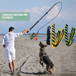 Toys Extendable Flirt Pole Interactive Dog Toys for Small Large Dogs Chase Drag Chew Toys Outdoor Training Exercise Entertainment