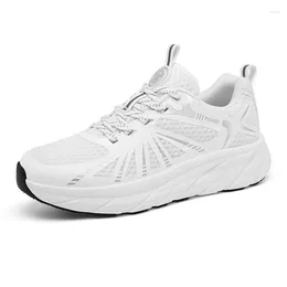 Shoes Solid Walking 639 Taobo Colour Unisex Comfortable Hollow Out Breathable Casual Versatile Sports Shoe Wom 99728
