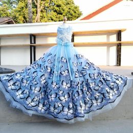 Dog Apparel Handmade Luxury Design Clothes Blue Butterfly Embroidery Wedding Dress Trailing Pet Party Evening Gown Tulle Skirt