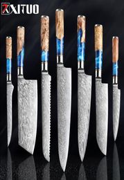 XITUO Kitchen KnivesSet Damascus Steel VG10 Chef Knife Cleaver Paring Bread Knife Blue Resin and Color Wood Handle Cooking Tool2300580