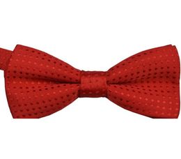 Whole Baby Boys Party Infant Toddler Pre Tied Chic Wedding Tuxedo Bow Tie Necktie8731833
