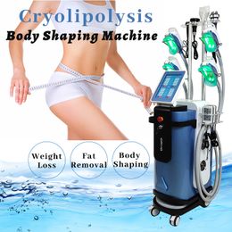 Cryolilplysis Fat Freezing Machine Abdominal Cellulite Removal Weight Loss Non-Invasive Vacuum Therapy Laser Lipo Diode Light Treatment Vertical Equipment