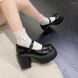 Dress Shoes Black Super High Heels Mary Jane Shoe Fashion White Platform Pump For Women Goth Thick Heeled Party Ladies