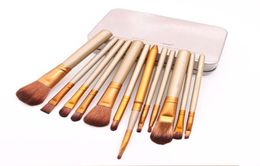 Makeup Tools Brushes Nude 12 piece Professional Brush sets Iron box DHL 9592776