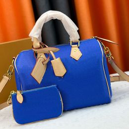 Plain Pillow Bag Designer Handbags Purse Genuine Leather Fashion Letters Women Crossbody Bags Small Tote Wallets Two Piece Set 25cm