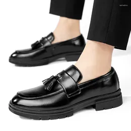 Casual Shoes Autumn Men Slip On Fashion Leather Dress Luxury Men's Business Tassel Loafers Classic Gentleman