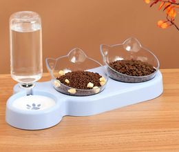 Cat and dog food bowl, double bowl design with automatic drinking bottle, tilting three-in-one dry and wet separation pet feeding bowl, suitable for small pets