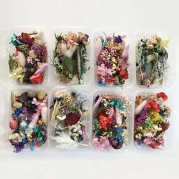 Natur 1 für Box, Kunstharz, getrockneter Schmuck, trockene Pflanzen, gepresste Blumen, Herstellung von Bastel-DIY-Zubehör