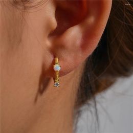 Hoop Earrings CANNER Sweet Temperament Classic Ear Buckle Delicate Cute Opal Zircon S925 Sterling Silver Personality