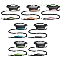 Dog Collars R3MA Multifunctional Waist Bag With Leash Set For Outdoor Training Adventure