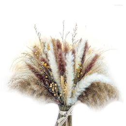 Decorative Flowers Big Deal Pampas Grass Dried Bouquet Natural Decor For Home Wedding Flower Arrangements