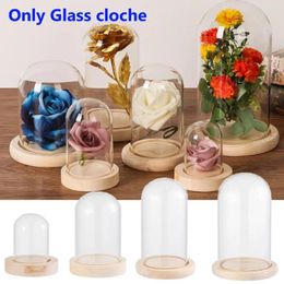 Storage Bottles Glass Cloche Jar Display Stand Cover Terrarium Bottle With Wooden Base Acrylic Dust Box Immortal Flower