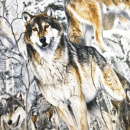 Fabric Good Wide 110cm Snow Wolf Printing 100% Cotton Fabric Snow Landscape Wolf Printed Fabric Diy Sewing Dress Quilting Patchwork