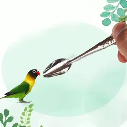 Other Bird Supplies Parrot Metal Feeding Spoon Stainless Steel Feed Scoop Milk Water Hand Feeder Spoons For Peony Cockatiel Small