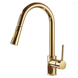 Bathroom Sink Faucets Kitchen Faucet Single Hole Pull Out Spout Mixer Tap Stream Sprayer For Head Golden
