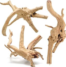 Zoupgmrhs Driftwood für Aquariumdekor natürliche Spinnenholzzweige für Fischtankdekorationen 7-11 Zoll Pack von 3