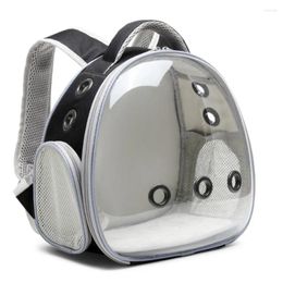 Cat Carriers Travel Bag Back Cute Zipper Portable Men Woman Breathable Designer Outdoor Case Indoor Mochilas Cage