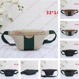 Waist Bag chest bags Men Womens Cross body G Ophidia Bumbag Fannypack Designer Classic Shoulder Fanny Pack Women Outdoor travel Du222S