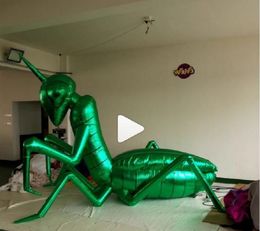 3m 10ft wholesale Free Shipping Customized Inflatable frog ladybug mantis insects For Nightclub Party or Music Party Starge Decoratio 001