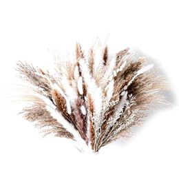 Natural Dried Flowers Bouquet Arrangement Fully Pampas Grass Bunch Rabbit Tail Reed for Wedding Decoration Home Decor Plants 240315