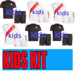 Copa Americ Peru hot jerseys Soccer Jerseys LAPADULA LUIS LBERICO PINEAU CUEVAS CARTAGENA TAPIA VALERA AQUINO national team 24 25 football shirt kids kits socks