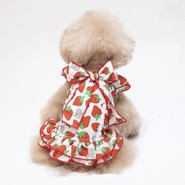 Dog Apparel Summer Cat Dress Puppy Skirt Small Clothes Chihuahua Yorkshire Shih Tzu Poodle Pomeranian Schnauzer Clothing