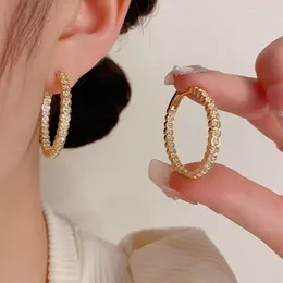 Hoop Earrings Light Luxury Fashionable Simple High-end Exquisite Niche Design Unique Autumn And Winter Ear Rings For Women