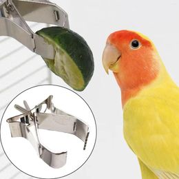 Other Bird Supplies Parrot Fruit Vegetable Clip Cage Food Holder Useful Easy To Install Feeding For Hamster Cockatiel