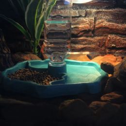 Supplies Reptile Feeder 2 in 1 Automatic Water Food Feeding Plate Lizard Turtle Dispenser Luminous