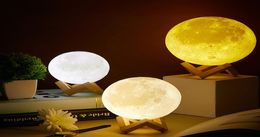 2022 3D Moon Lamp Starry Sky Light gadgets with Stand Romantic Night 315inch Painted Bedside Lamp Lover Birthday Thanksgiving7922049