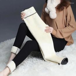 Women's Leggings Sherpa Pants Female High Waist Thickening Trousers Stretch Cotton Longs Berber Fleece Clothes Autumn Winter Oversize