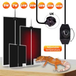 Products UK Plug Terrarium Reptiles Heat Mat Climbing Pet Adjustable Temperature Controller Heating Warm Pads for Supplies Accessories