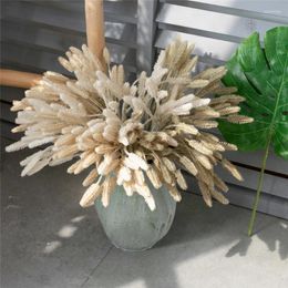 Decorative Flowers Simulated Flower 5 Head Dog Tail Grass Bundle Home Wedding Decoration Wholesale Silver Willow Artificial MM5007