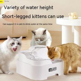 Cat Carriers Cats Filter CirCulate And Flow Live Water. Dogs Bowls With Multiple SlotS Are AutomAtic Pet Water Dispensers