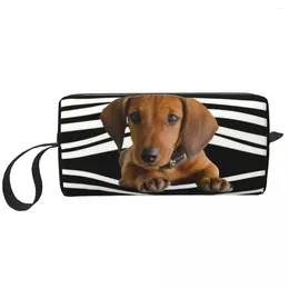 Storage Bags Travel Dachshund Stripes Toiletry Bag Kawaii Weiner Dog Cosmetic Makeup Organiser Women Beauty Dopp Kit Case