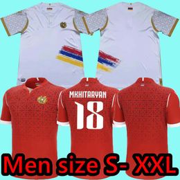 2024 Armenia Football Jerseys 23 24 Adult Home RANOS ZELARAYAN Match Jersey Training Wear Men's Football Shirt