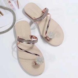 Slippers Sandals Womens Summer New Fashion Beach Water Diamond Smooth Luxury Designer Shoes H240328J1EQ