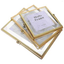 Frames Iron Po Frame Glass Double Specimen Showing Display Case Picture Tabletop Gold Decor