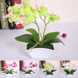 Decorative Flowers Fake Phalaenopsis Flower Imitation Planting Bonsai Lifelike Unique Portable Real Touch For Party