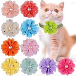 Dog Apparel Wholesale 20 Pack Pet Deco Chiffon Flower Cat Grooming Bow Tie Puppy Collars Decorations Gold Stamping Dots Pearl Flowers