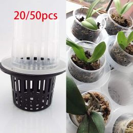 Pots 11x8cm Hydroponic Colonization Mesh Pot Net Cup Basket Plant Grow Holder Hydro Aeroponic Planting Clone Nursery Plant Soilless D