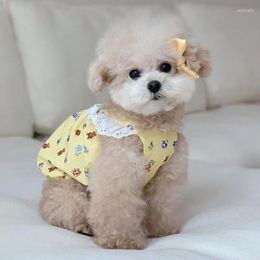 Dog Apparel Dresses For Small Cute Costume With Lace Cotton INS Pet Clothes Teedy Bear Pattern Product Puppy Accessories
