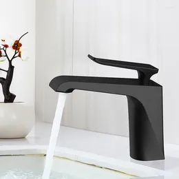 Bathroom Sink Faucets Black Basin Faucet Stainless Steel Paint Single Handle Washbasin Cold Mixer Taps For Accessories