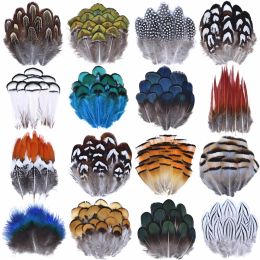 Albums Wholesale Natural Pea Pheasant Feathers Small Eagle Chicken Plumes Ostrich Decor Diy Handicraft Accessories Jewelry Creation