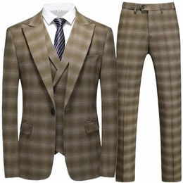 2023 Fi New Men Leisure Boutique Busin Plaid Striped Suit Vest Pants 3 Pcs Set Casual Dr Blazers Jacket Coat Trosers n9nA#