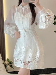 Retro Lace Embroidery Elegant and Pretty Women's Dresses Chic and Elegant Waist Belt Puff Sleeve Woman Summer Dress