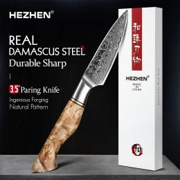 Albums Hezhen 3.5 Inch Paring Knife Real 67 Layer Damascus Super Steel Cook Knife Super Anti Rust Sharp Blade Fruit Kitchen Knife