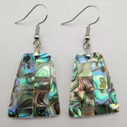 Dangle Earrings Zealand Abalone Shell Fashion Jewellery T028